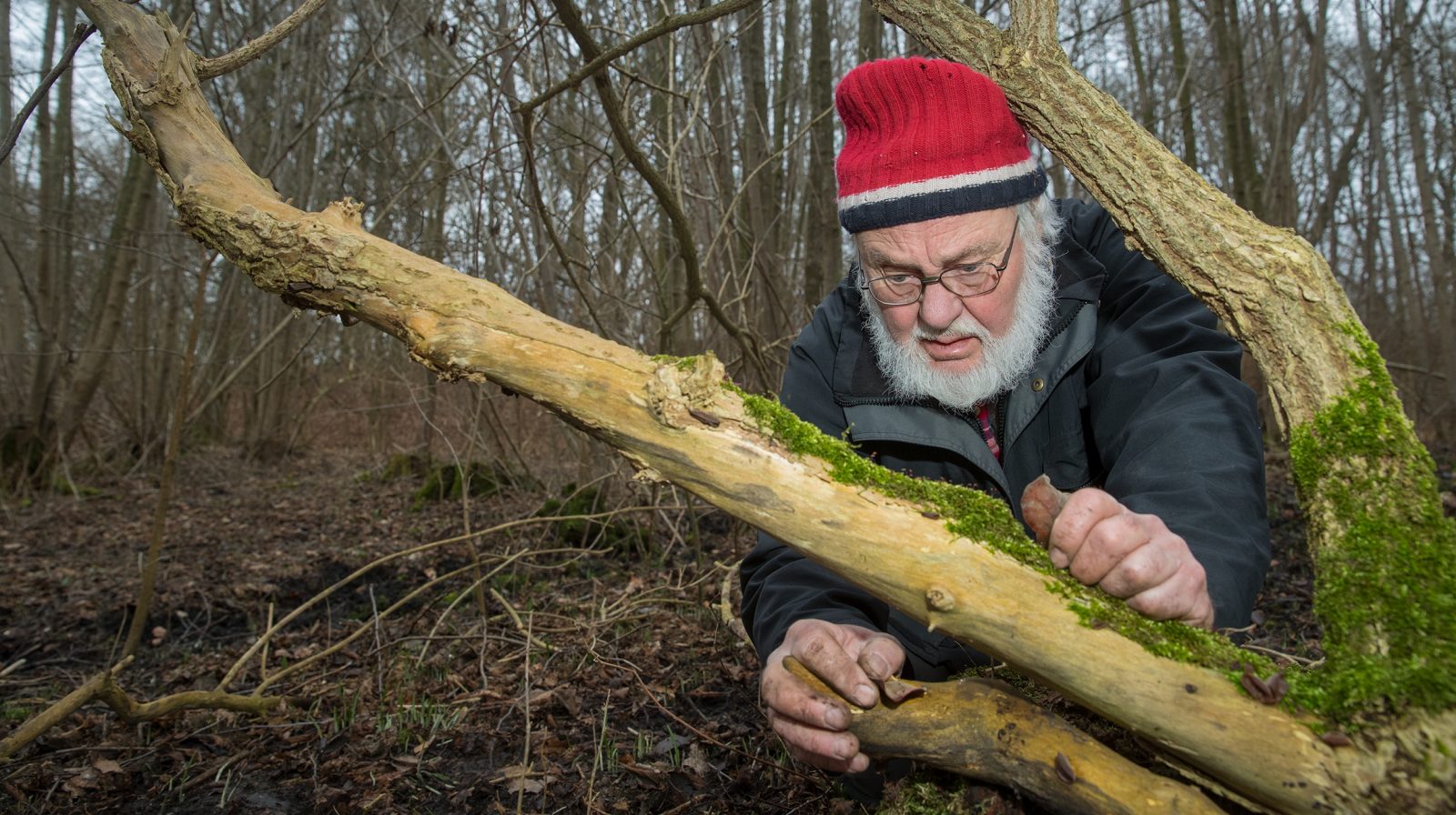 Roland Rittman samlar örter och växter