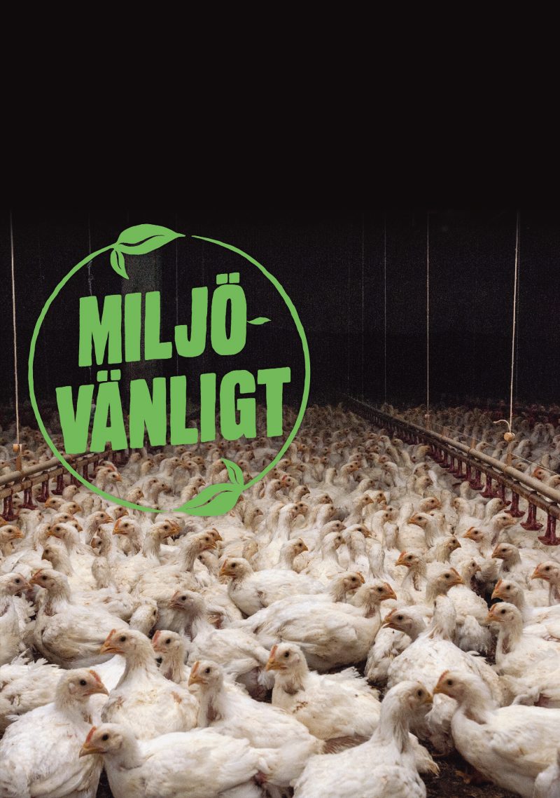 Filter #82 Klimatsmarta matmärkningar