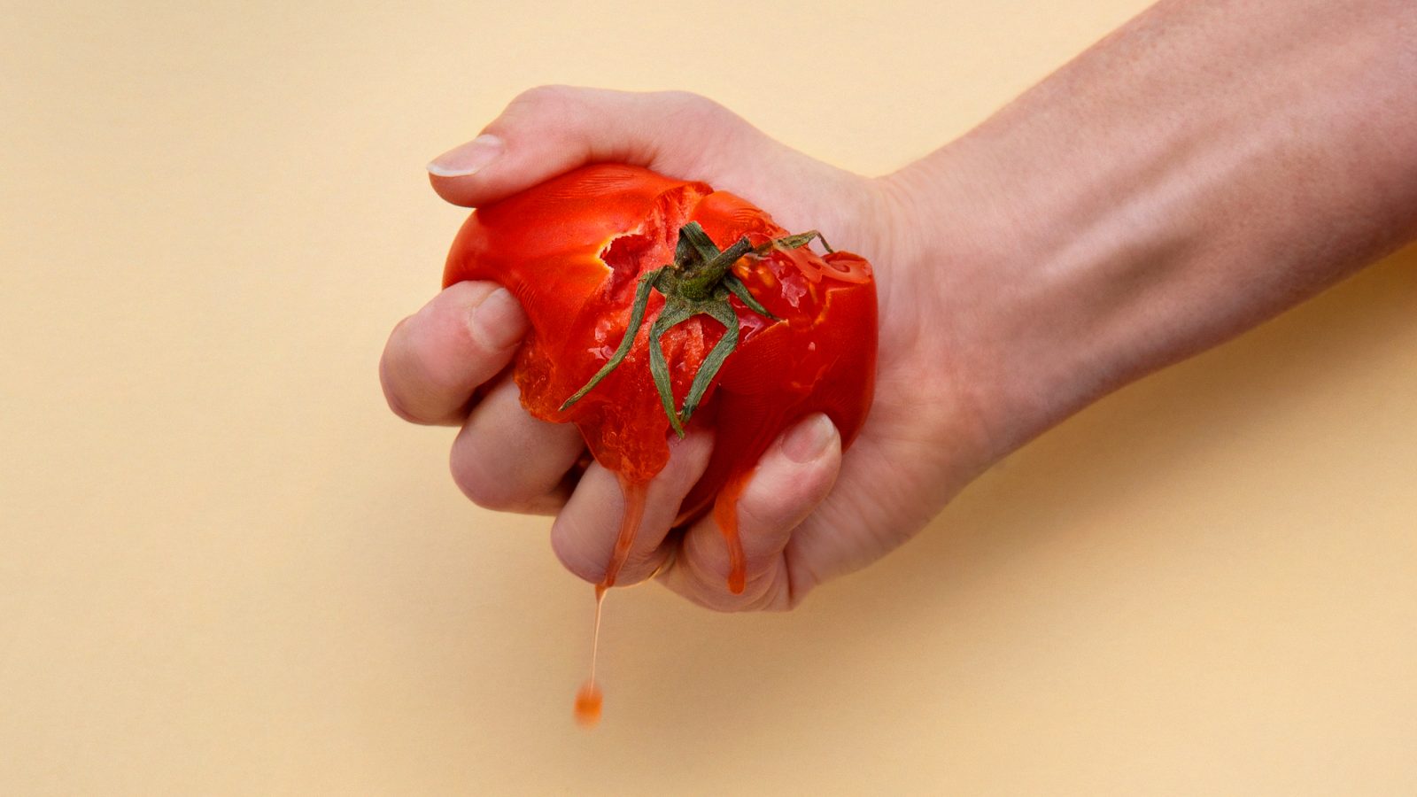 Hand som klämmer sönder en tomat. Illustration för tomatens historia.