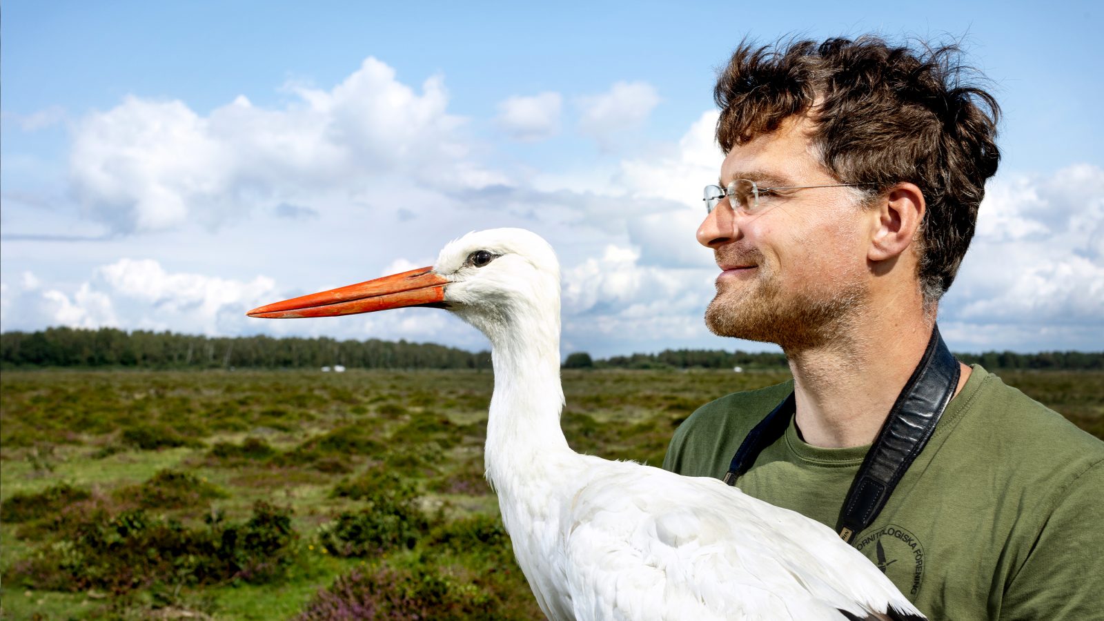 Porträtt på Arne Hegemann, som forskar om flyttfåglar, och en stork.