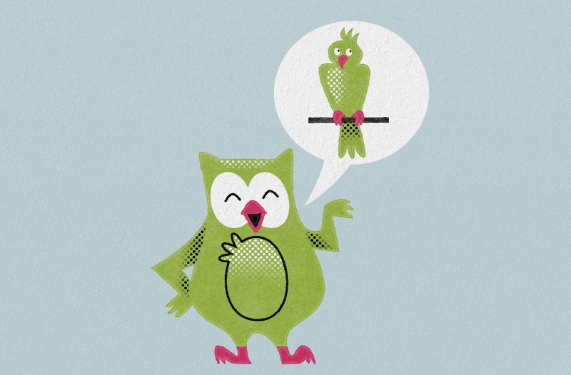 Illustration av en uggla som pratar goja. Alltså har en pratbubbla med en papegoja i. För att illustrera Duolingo-ugglan.