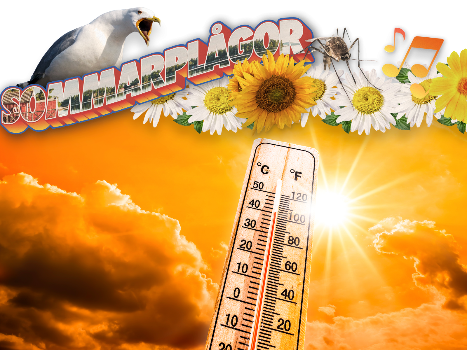 Bild på en termometer i en solig himmel för att symbolisera värmerekord.